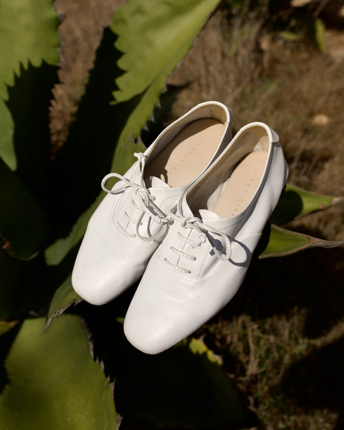 White leather Inca square-toe Oxfords with white laces resting on agave leaves